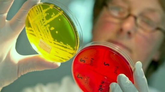 Истражување на тестови за откривање на паразити во човечкото тело